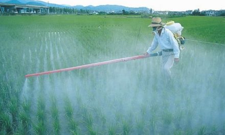 Posponen prohibición del glifosato en México ante falta de alternativas