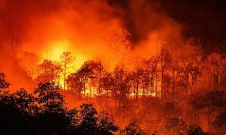 Hay 116 incendios forestales activos en el país; confirman 4 muertes