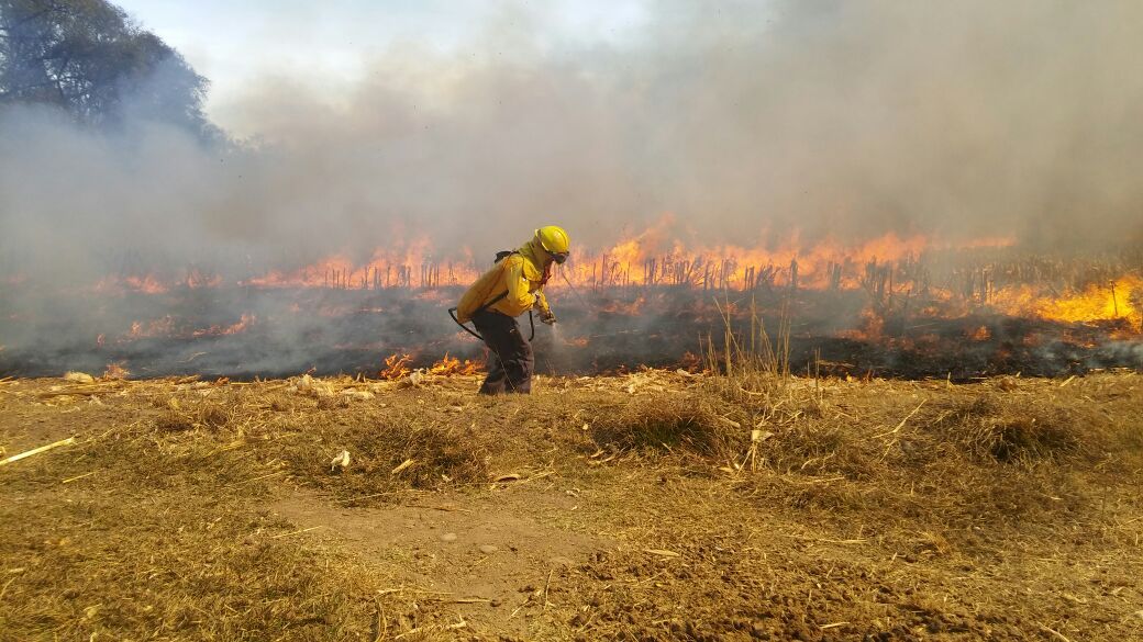 Conafor reporta 45 incendios forestales liquidados en México