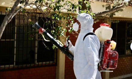 Llaman a Saltillenses a descacharrizar hogares