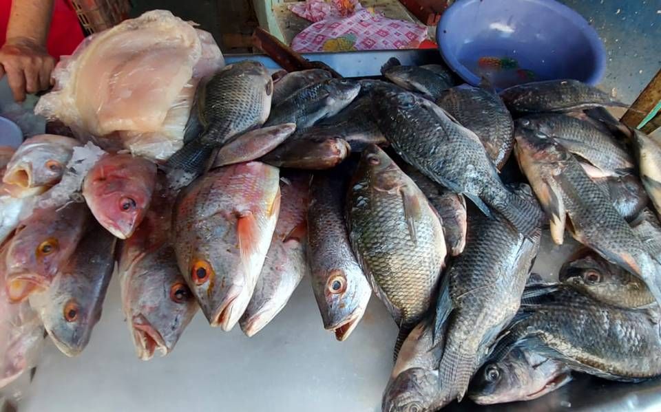 Intensifica SSA operativo de cuaresma
