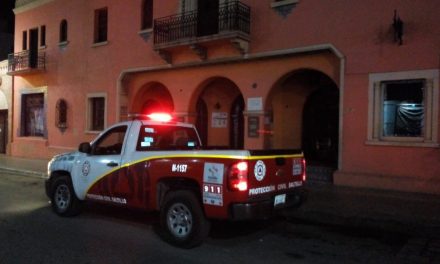 Fuertes vientos dejan dos árboles fracturados y una lona parcialmente desprendida