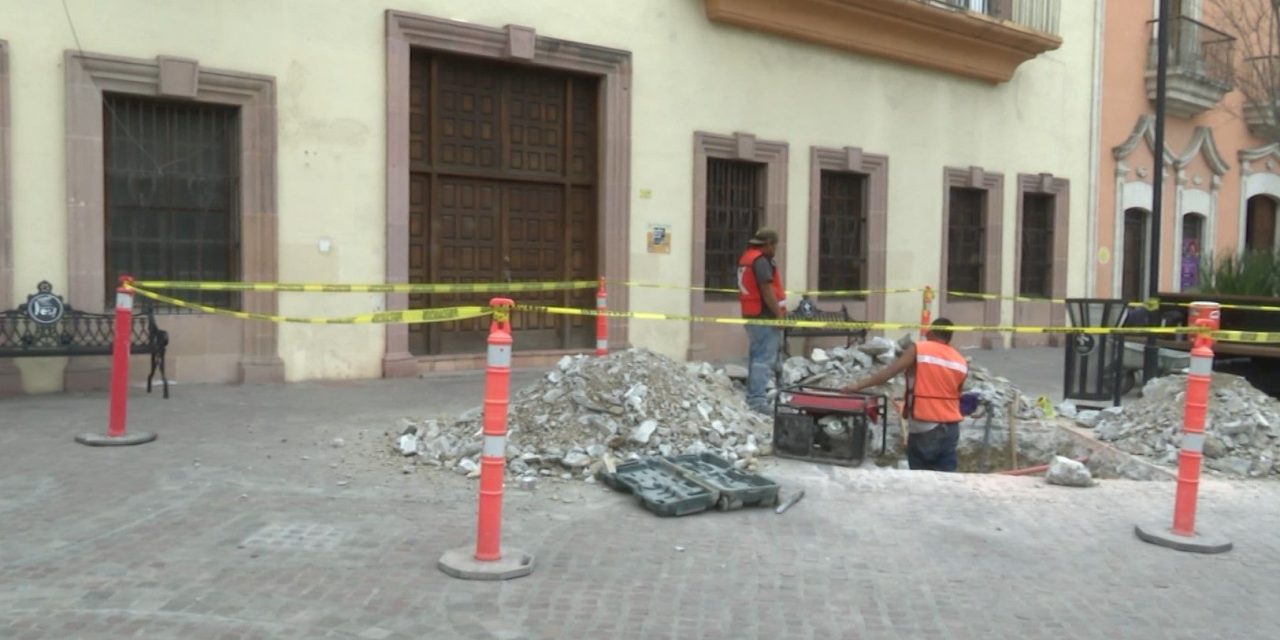 Esculturas de osos se instalan en Paseo Capital