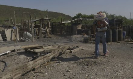 Van con todo contra la rickettsia con brigadas de fumigación en Ramos Arizpe