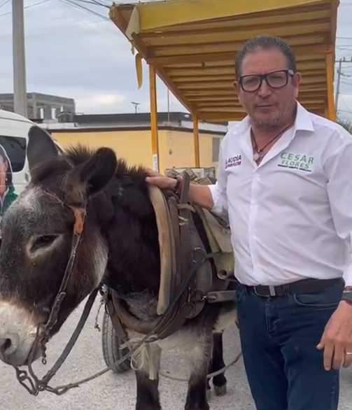 Llama César Flores burro al doctor Mario Dávila