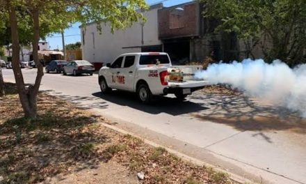 Colocan nueva malla sombra en escuela de Acuña