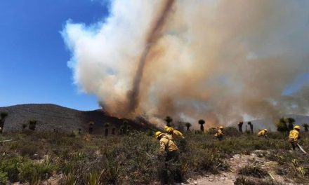 Incendio forestal originado en San Luis Potosí moviliza a autoridades de Nuevo León