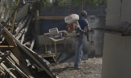 Intensifican acciones contra la rickettsia y el dengue en Coahuila