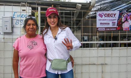 Cecilia Guadiana presentará iniciativa en el Senado