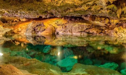 Pequeñito de 6 años muere ahogado en un cenote en Yucatán durante fiesta de cumpleaños