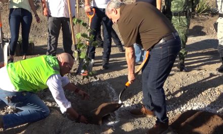 Gobierno Municipal refuerza acciones en favor del Medio Ambiente