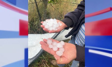 Le pega duro granizada a productores manzaneros en Arteaga