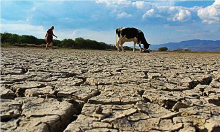 Una realidad alarmante; cambio climático seca el país