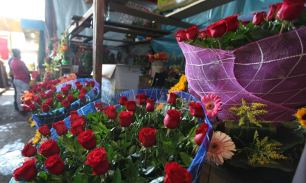 Celebración del Día de las Madres impulsa la economía en la Región Centro