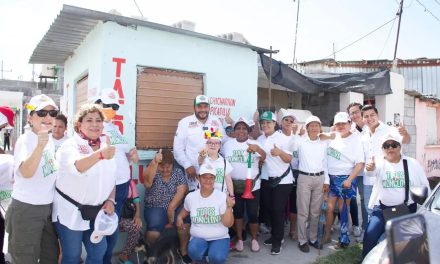 Llama Carlos Villarreal a votar por el desarrollo