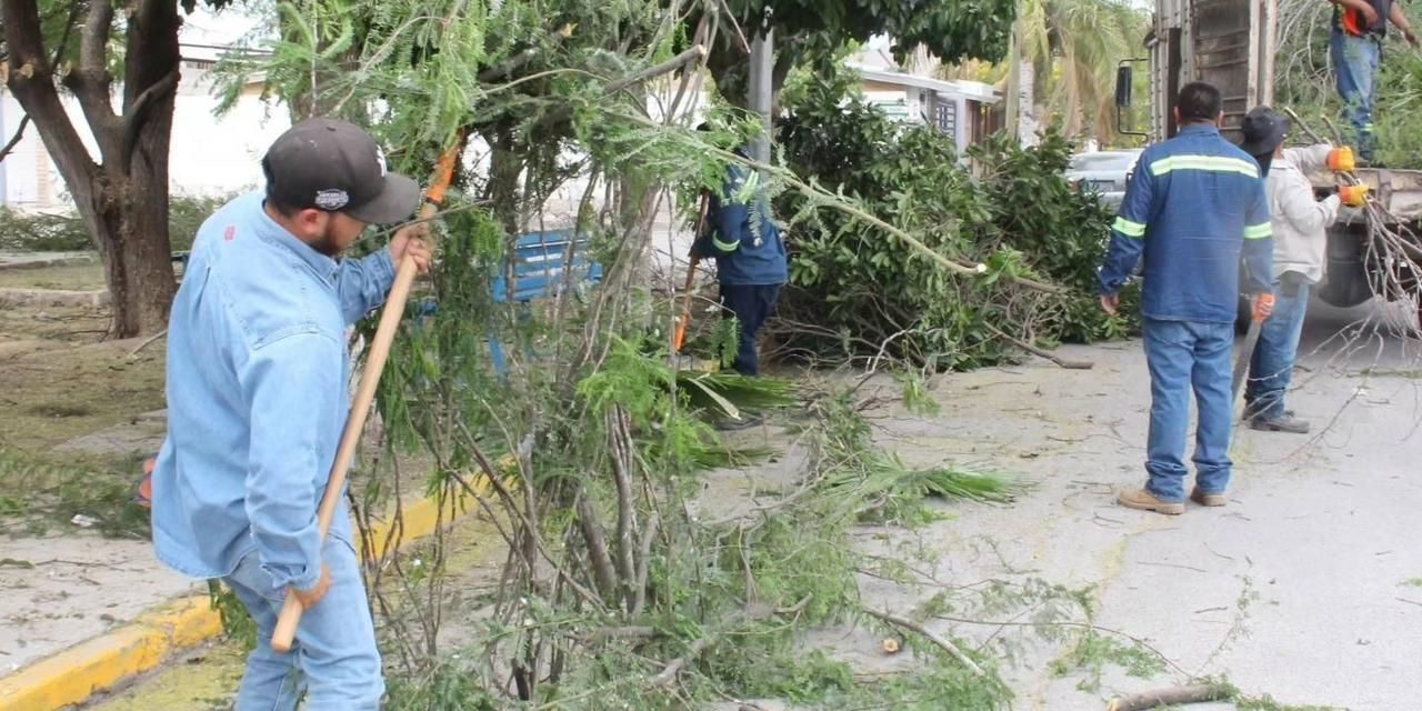 Retiran maleza de vialidades en Torreón