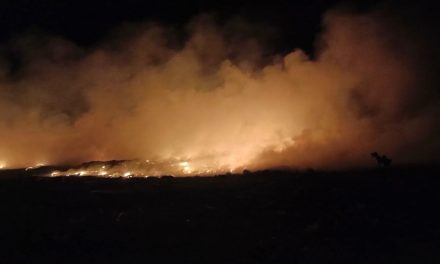 Arde en llamas basurero municipal de Parras