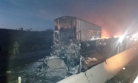 No para la violencia en Zacatecas; amanece con 9 cadáveres y bloqueos