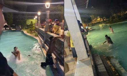 ¿Y cómo festejan en tu ciudad? Aficionados del América se lanzan al lago de la Alameda