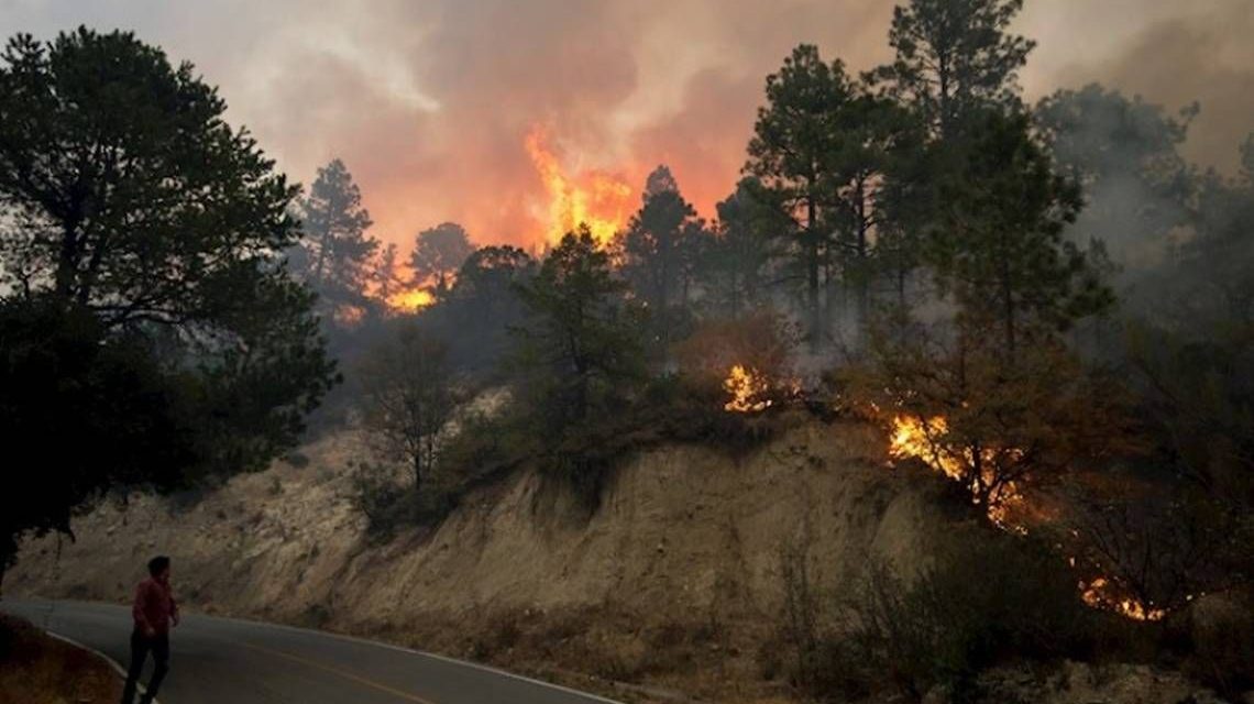 Brigadistas intensifican combate contra incendios forestales en Nuevo León