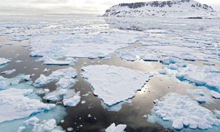 Cambio Climático provoca niveles mínimos históricos de hielo marino en la Antártida