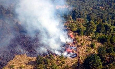 Incendios forestales azotan San Luis Potosí y Veracruz