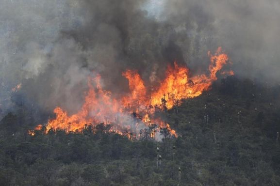 Coahuila mantiene baja incidencia de incendios forestales