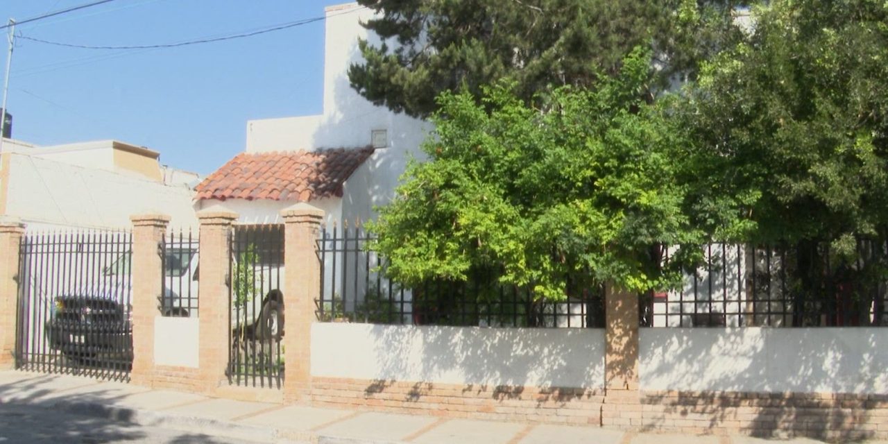 Plantar un árbol por domicilio reduce las temperaturas