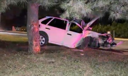 Hombre se ensarta contra un árbol al norte de Saltillo