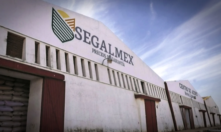 Detecta la FGR desvío de fondos de Segalmex; transfieren 93 mdd a cuentas de Estados Unidos e Inglaterra