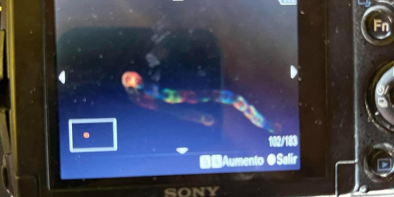 Mariposas estelares: Fotógrafo saltillense capta extrañas luces en el cielo de Parras