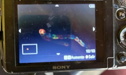 Mariposas estelares: Fotógrafo saltillense capta extrañas luces en el cielo de Parras