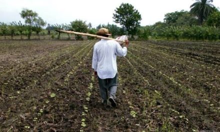 Promueven acceso equitativo de mujeres a la tierra