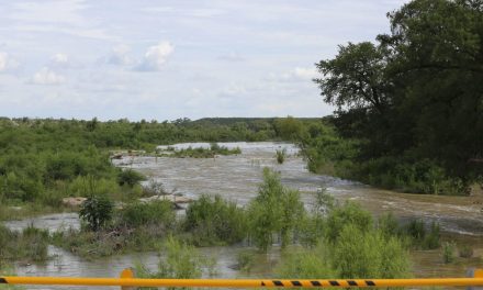 Revive el río Sabinas tras paso de tormenta tropical