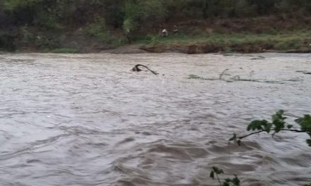 ‘Alberto’ aumenta el nivel del río Sabinas en Múzquiz