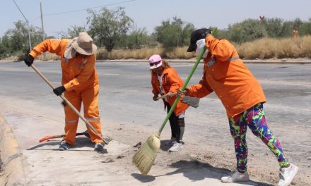 Lleva La Ola acciones de limpieza a carretera Torreón-Matamoros
