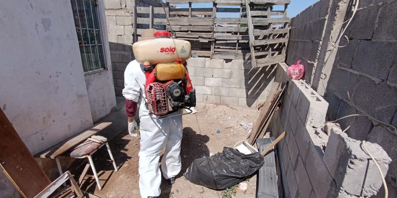 Combate Salud de Torreón a insectos y parásitos