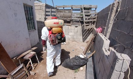 Combate Salud de Torreón a insectos y parásitos