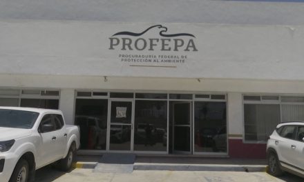 Señalan omisiones de la Profepa para atender contaminación de TUPY en Saltillo