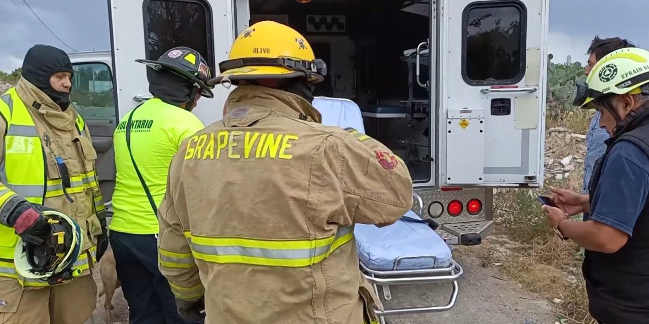 Abejas atacan a una familia en Parras