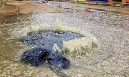 Saltillo: Más de un mes tienen vecinos soportando aguas negras