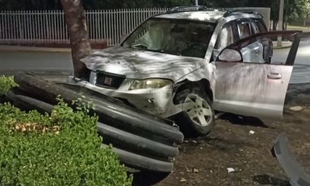 Saltillo: Sólo un árbol pudo frenar su carrera