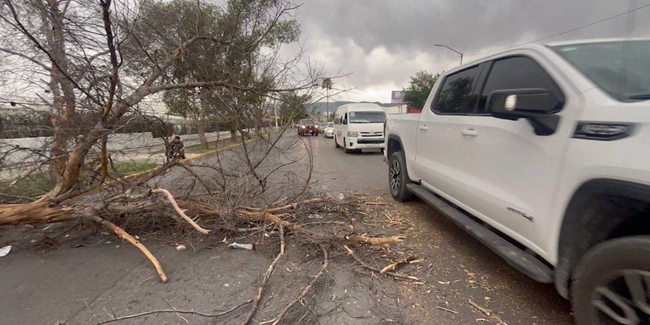 En alerta PC Saltillo ante pronóstico de fuertes vientos