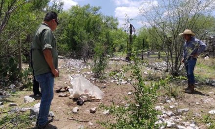 Ganaderos de Frontera reportan muerte de borregos y chivas