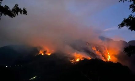 Pobladores de Veracruz y Puebla claman por ayuda para combatir incendio forestal
