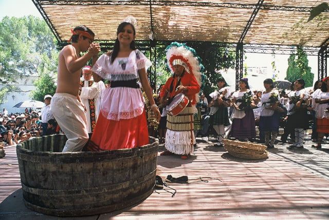 Todo listo para la Gran Vendimia en Parras
