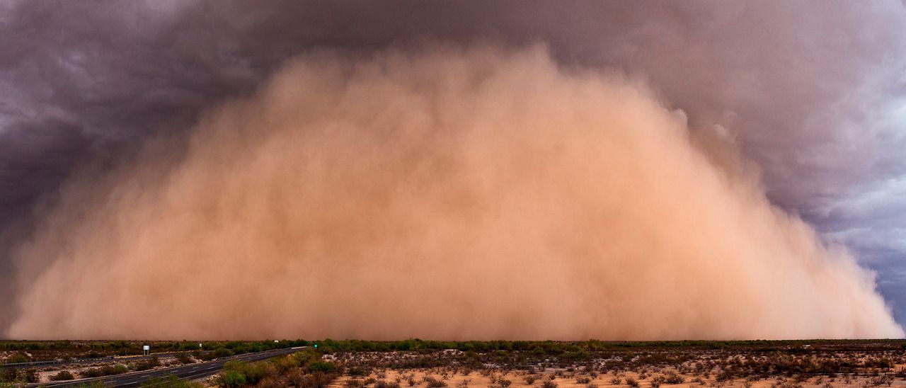¿Qué es el Polvo del Sahara y cuándo llegará a México?