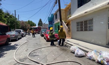 Rescata bomberos de Saltillo a personas que estaban en medio de un enjambre