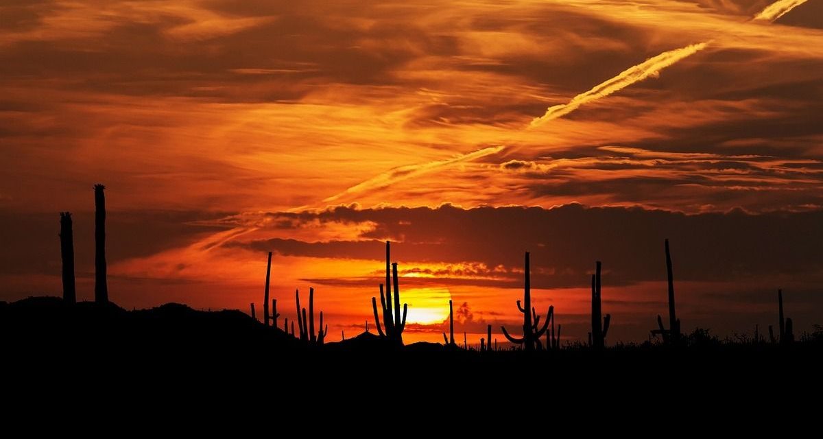 Mientras Saltillo y Monterrey están ‘bajo el agua’ en Sonora rompen récord y llegan a 52 grados