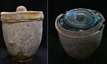Descubren el vino más antiguo del mundo en una tumba romana en España